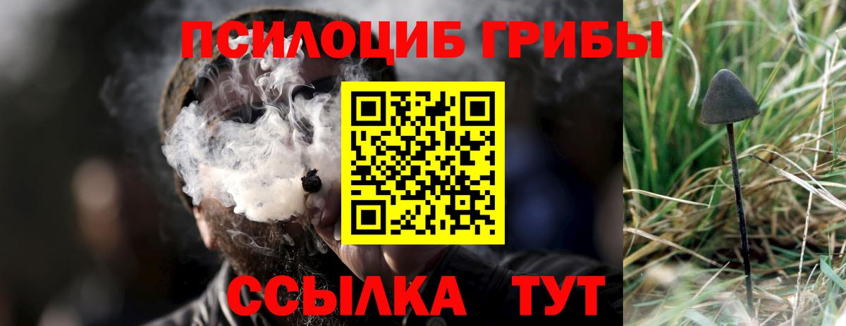 Лабинск  Галлюциногенные грибы Psilocybine cubensis  Галлюциногенные грибы прущие грибы  Вход с VPN 